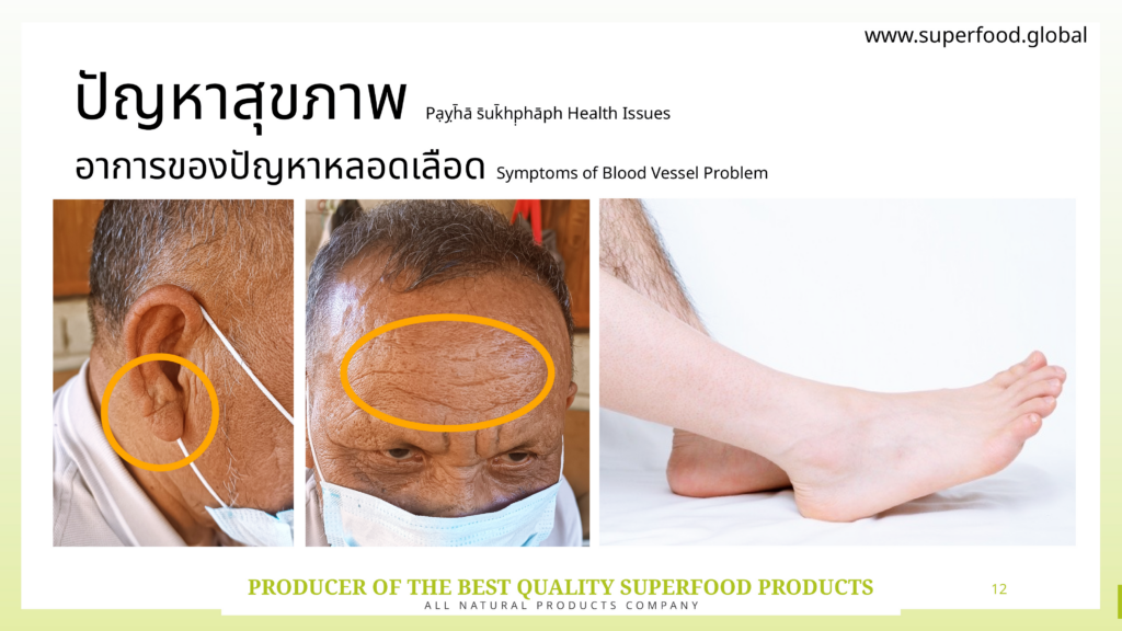 superfood12-1024x576